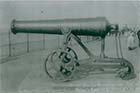 Fort Green and old russian canon